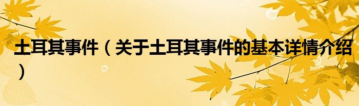 土耳其事件（关于土耳其事件的基本详情介绍）