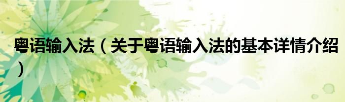 粤语输入法（关于粤语输入法的基本详情介绍）