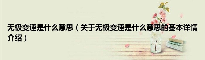 无极变速是什么意思（关于无极变速是什么意思的基本详情介绍）