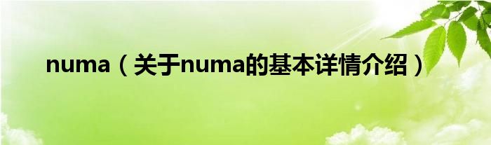 numa（关于numa的基本详情介绍）