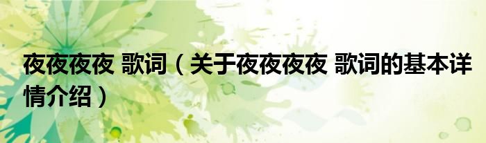 夜夜夜夜 歌词（关于夜夜夜夜 歌词的基本详情介绍）