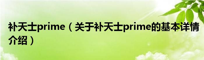 补天士prime（关于补天士prime的基本详情介绍）