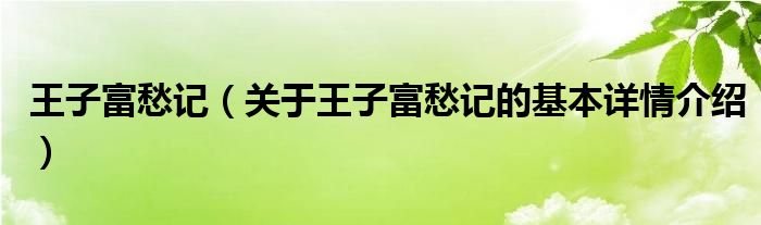 王子富愁记（关于王子富愁记的基本详情介绍）