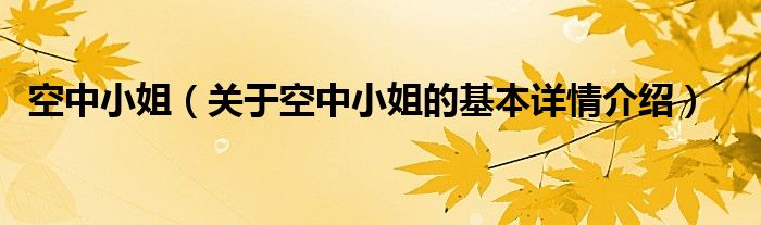 空中小姐（关于空中小姐的基本详情介绍）