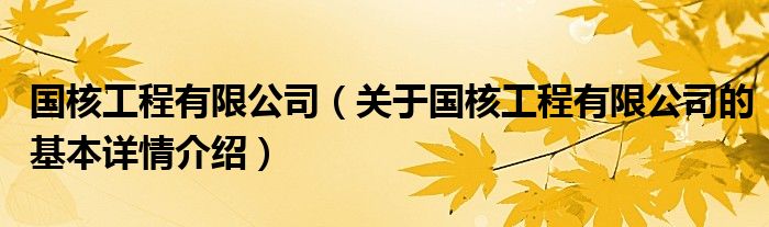 国核工程有限公司（关于国核工程有限公司的基本详情介绍）