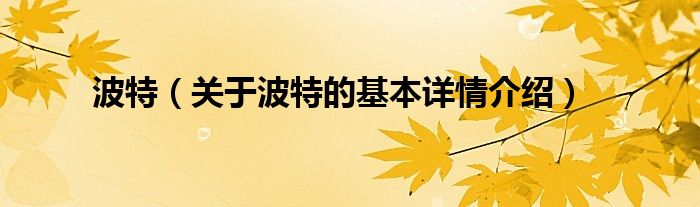 波特（关于波特的基本详情介绍）
