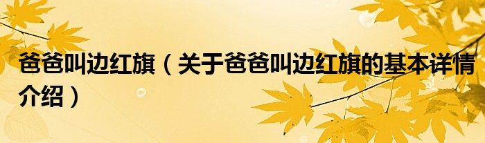 爸爸叫边红旗（关于爸爸叫边红旗的基本详情介绍）