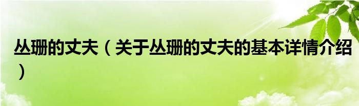 丛珊的丈夫（关于丛珊的丈夫的基本详情介绍）