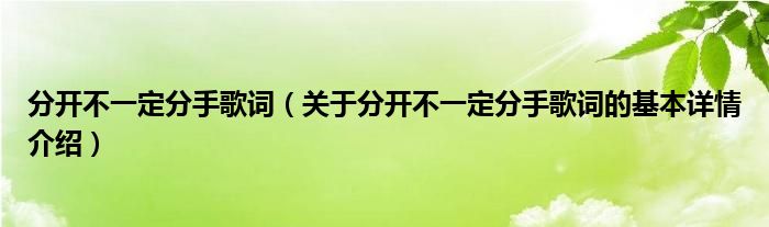 分开不一定分手歌词（关于分开不一定分手歌词的基本详情介绍）