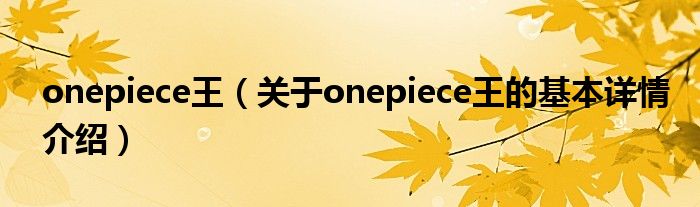 onepiece王（关于onepiece王的基本详情介绍）