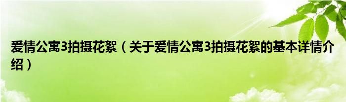 爱情公寓3拍摄花絮（关于爱情公寓3拍摄花絮的基本详情介绍）