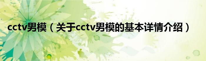 cctv男模（关于cctv男模的基本详情介绍）