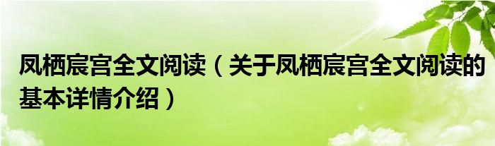 凤栖宸宫全文阅读（关于凤栖宸宫全文阅读的基本详情介绍）