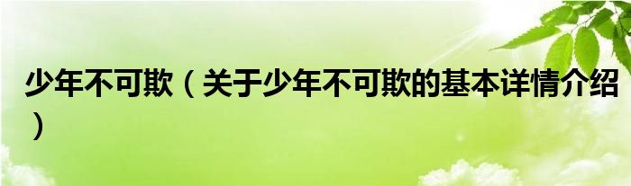少年不可欺（关于少年不可欺的基本详情介绍）