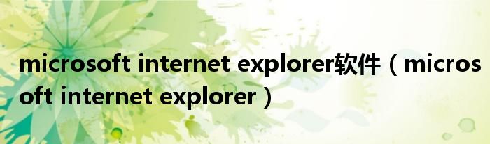 microsoft internet explorer软件（microsoft internet explorer）