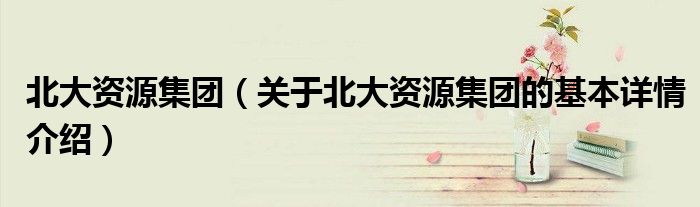 北大资源集团（关于北大资源集团的基本详情介绍）
