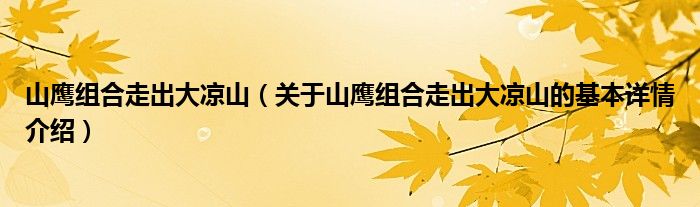 山鹰组合走出大凉山（关于山鹰组合走出大凉山的基本详情介绍）