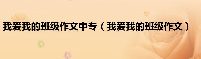 我爱我的班级作文中专（我爱我的班级作文）