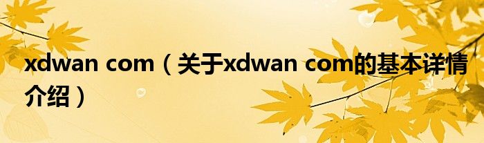 xdwan com（关于xdwan com的基本详情介绍）