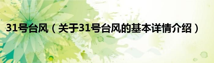 31号台风（关于31号台风的基本详情介绍）