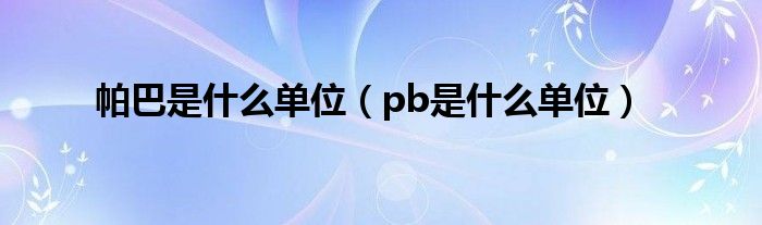 帕巴是什么单位（pb是什么单位）