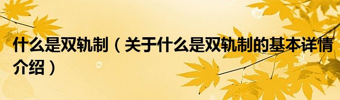 什么是双轨制（关于什么是双轨制的基本详情介绍）