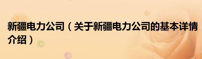 新疆电力公司（关于新疆电力公司的基本详情介绍）
