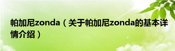 帕加尼zonda（关于帕加尼zonda的基本详情介绍）