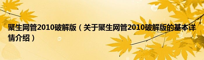 聚生网管2010破解版（关于聚生网管2010破解版的基本详情介绍）