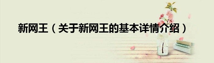 新网王（关于新网王的基本详情介绍）