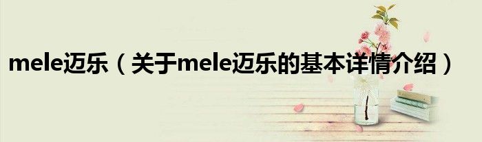 mele迈乐（关于mele迈乐的基本详情介绍）