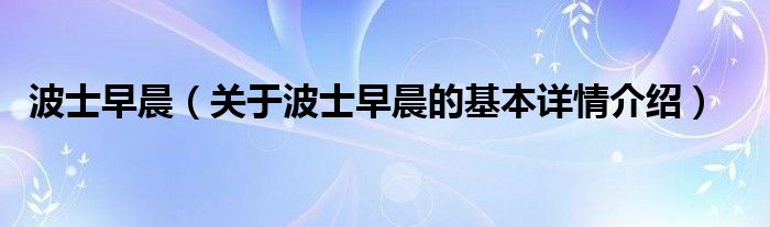 波士早晨（关于波士早晨的基本详情介绍）
