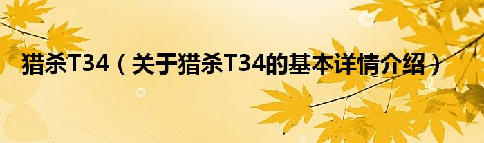 猎杀T34（关于猎杀T34的基本详情介绍）