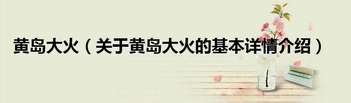 黄岛大火（关于黄岛大火的基本详情介绍）