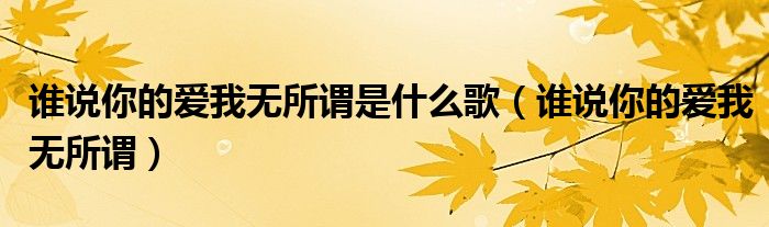 谁说你的爱我无所谓是什么歌（谁说你的爱我无所谓）