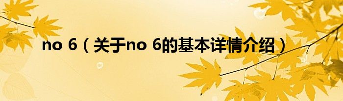 no 6（关于no 6的基本详情介绍）