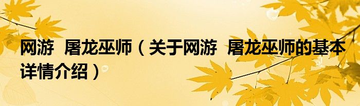 网游  屠龙巫师（关于网游  屠龙巫师的基本详情介绍）