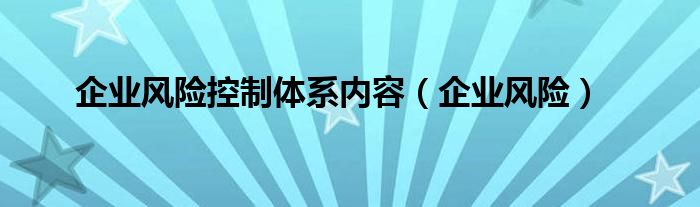企业风险控制体系内容（企业风险）