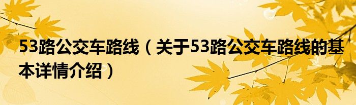 53路公交车路线（关于53路公交车路线的基本详情介绍）