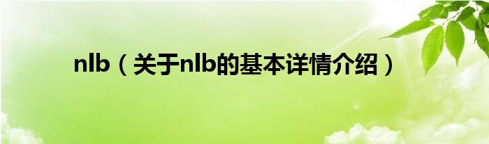 nlb（关于nlb的基本详情介绍）