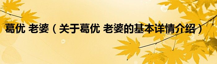 葛优 老婆（关于葛优 老婆的基本详情介绍）