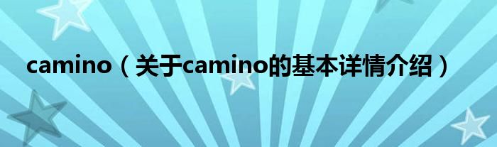 camino（关于camino的基本详情介绍）