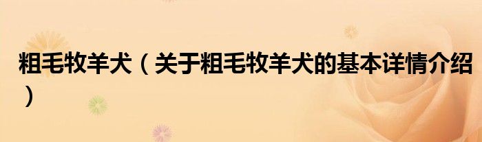 粗毛牧羊犬（关于粗毛牧羊犬的基本详情介绍）