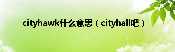 cityhawk什么意思（cityhall吧）