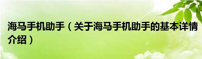 海马手机助手（关于海马手机助手的基本详情介绍）