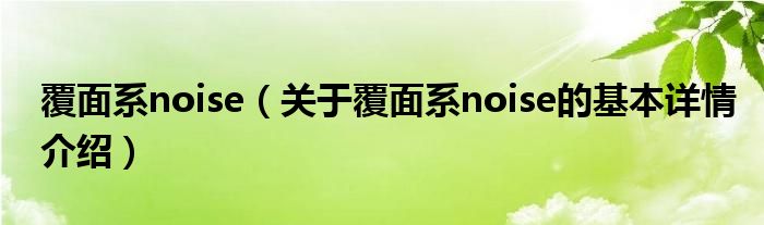 覆面系noise（关于覆面系noise的基本详情介绍）
