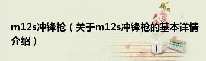 m12s冲锋枪（关于m12s冲锋枪的基本详情介绍）