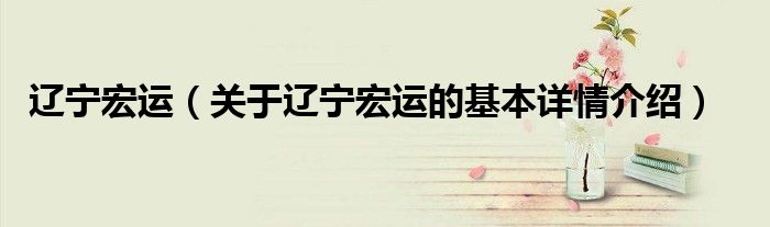 辽宁宏运（关于辽宁宏运的基本详情介绍）