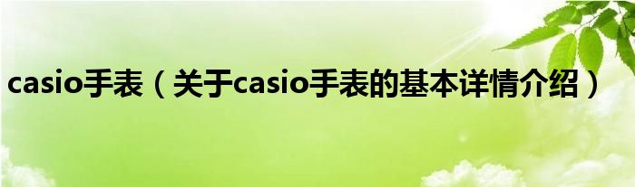 casio手表（关于casio手表的基本详情介绍）