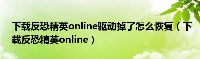 下载反恐精英online驱动掉了怎么恢复（下载反恐精英online）